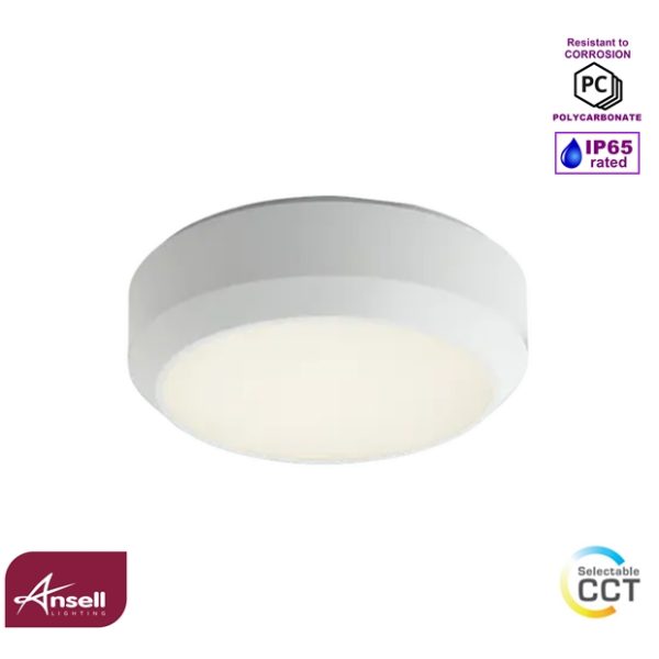 Ansell Delta 1 Bulkhead 5-8W LED CCT White IP65