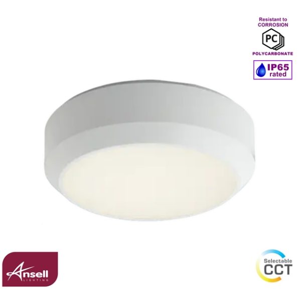 Ansell Delta 2 Bulkhead 7-12W LED CCT White IP65