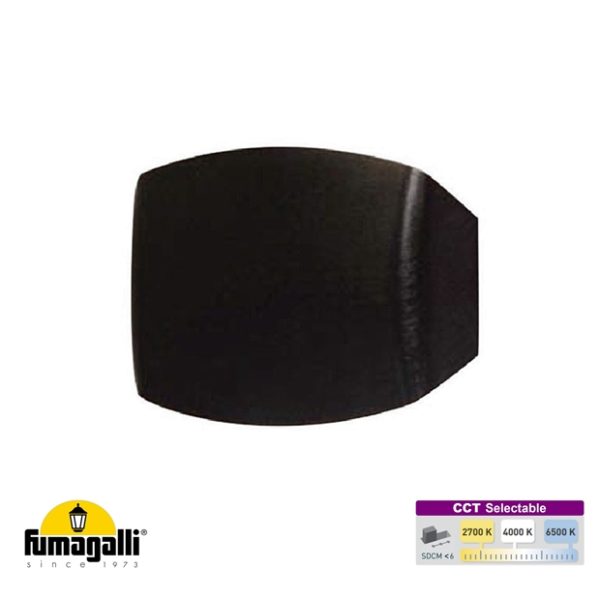 Fumagalli ABRAM 150 Black Up & Down Wall Light 3.2W LED R7s CCT Selectable